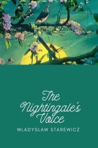 The Nightingale’s Voice